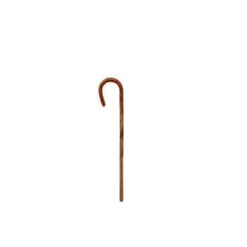 Walking Cane